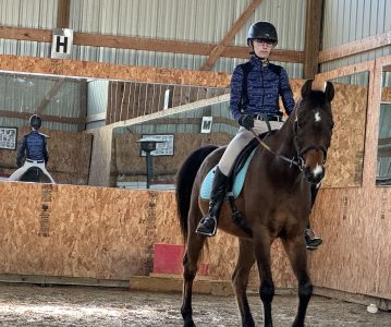 Attending a Pony Club Clinic