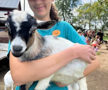 Visiting Mulberry Lane Farm