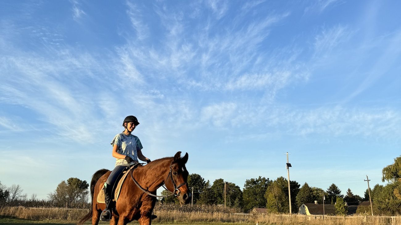 Horses