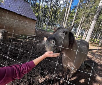 Visiting Shalom Wildlife Sanctuary